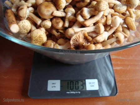 Как солить грибы, фото рецепт